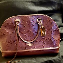 Coach Bag/Purse