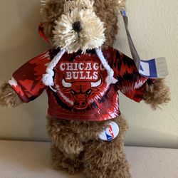 NBA Chicago Bulls Teddy Bear Plush 2009 New With Tag