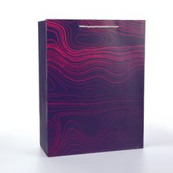 BEROIA Premium Gift Bags – 12 Pack – Topographic Mix – Size XL – 12.2×4.7×15.7 in – 210 GSM