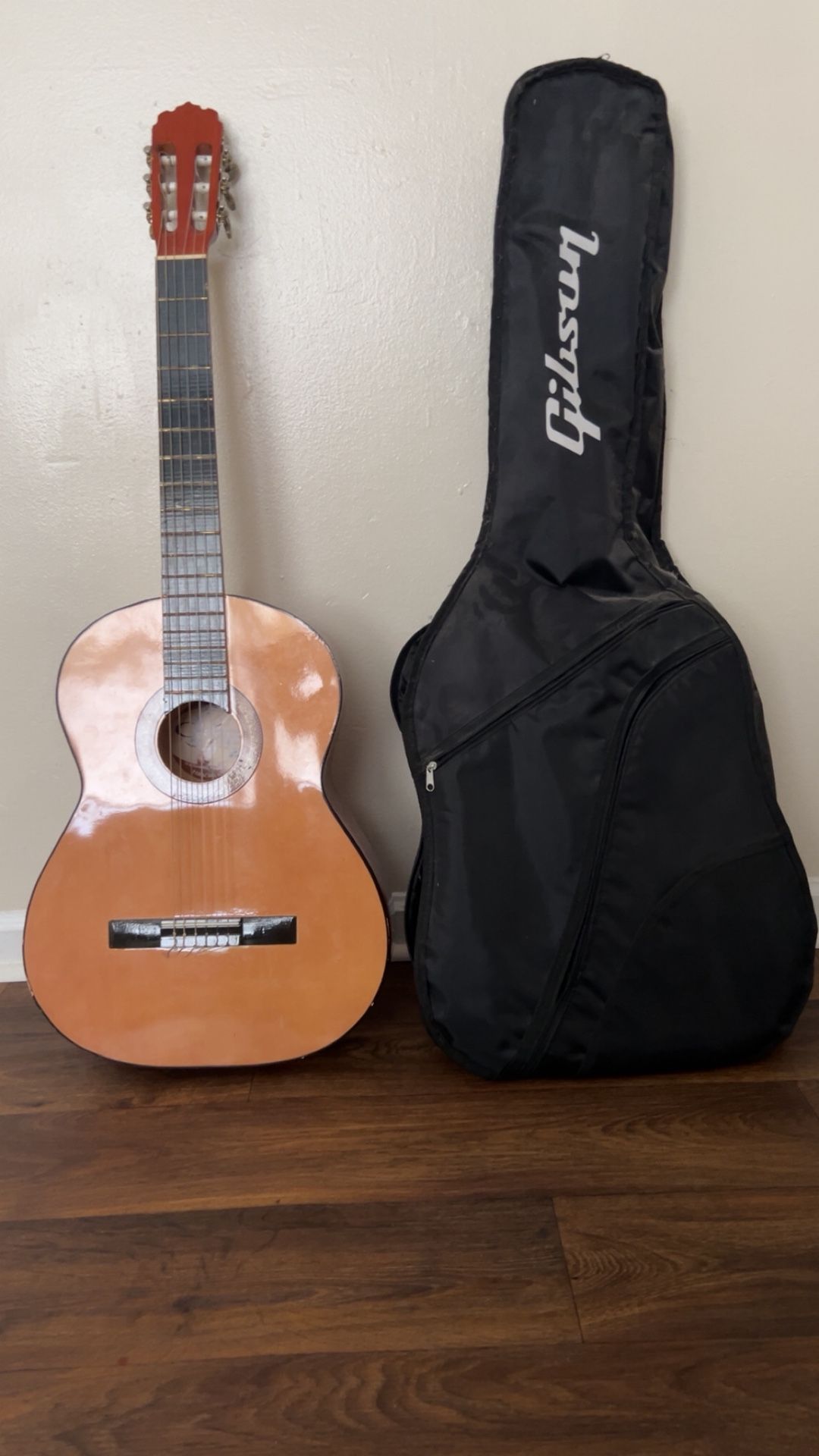 Gibson Case/Ochoa Guitar From Mexico