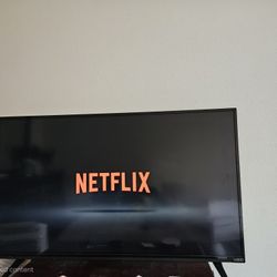Vizio flat Screen + Chromecast Plug In