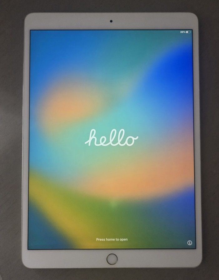 iPad Pro 2nd Generation 10.5 Inch With Apple Pencil