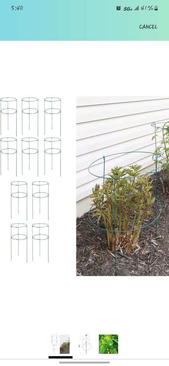 Plant Support With Double Ring | PACK OF 10