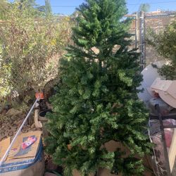 Arbol