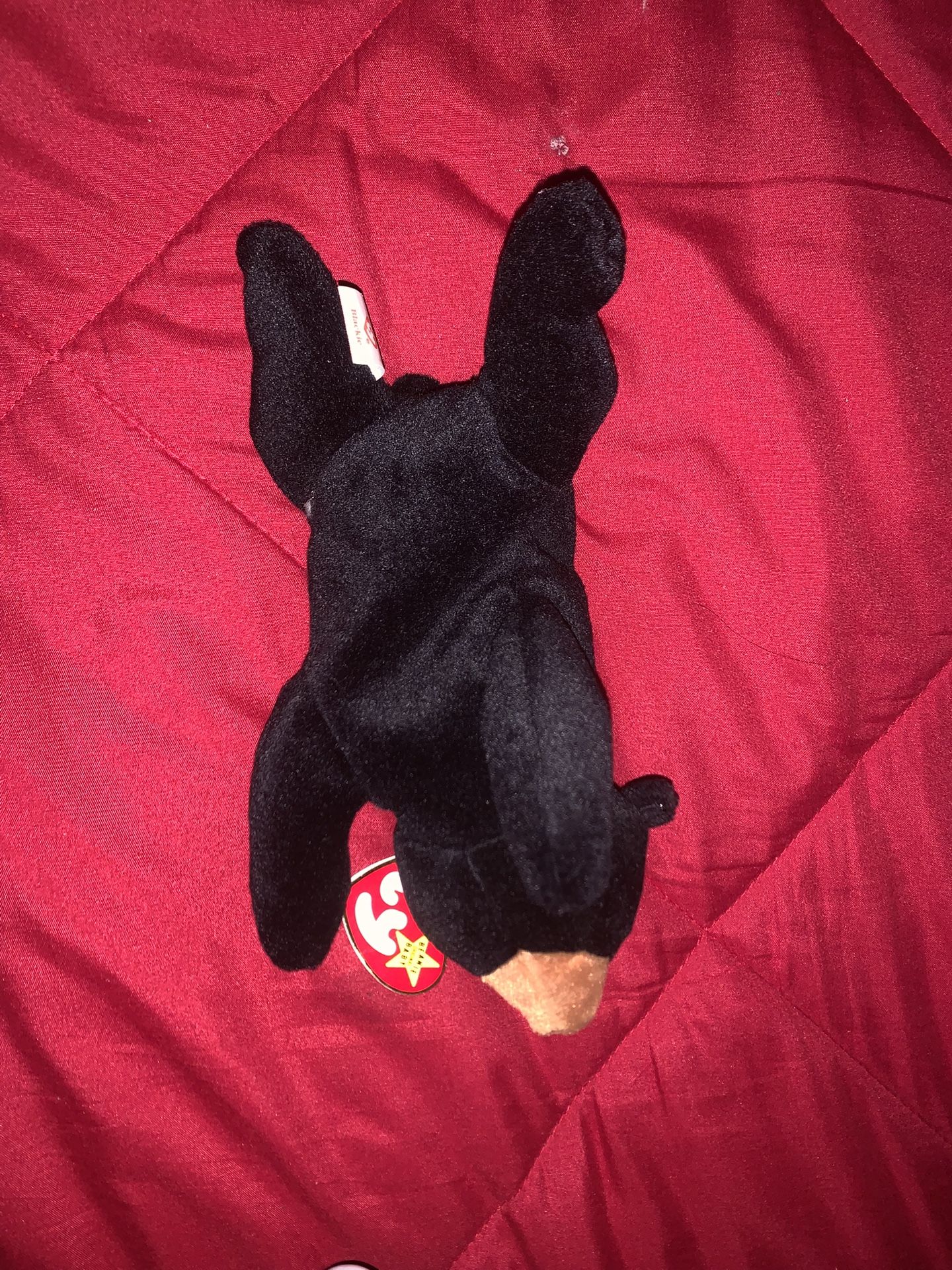 One black stuffed animal #stuffedanimals