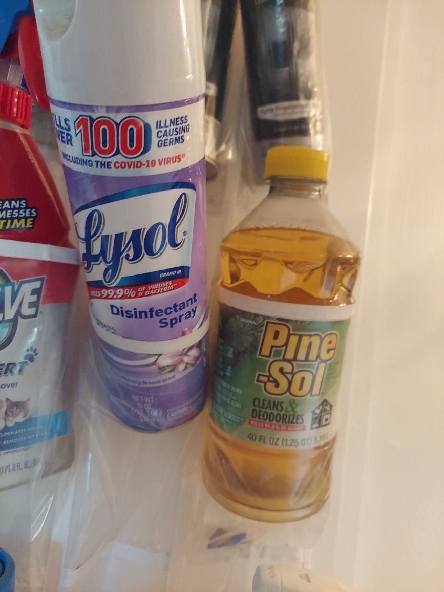 Cleaning Lady....