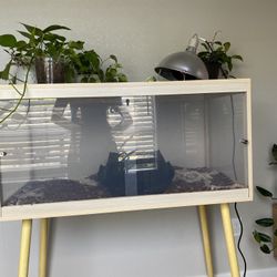 Standing Reptile Tank W Heating lamp