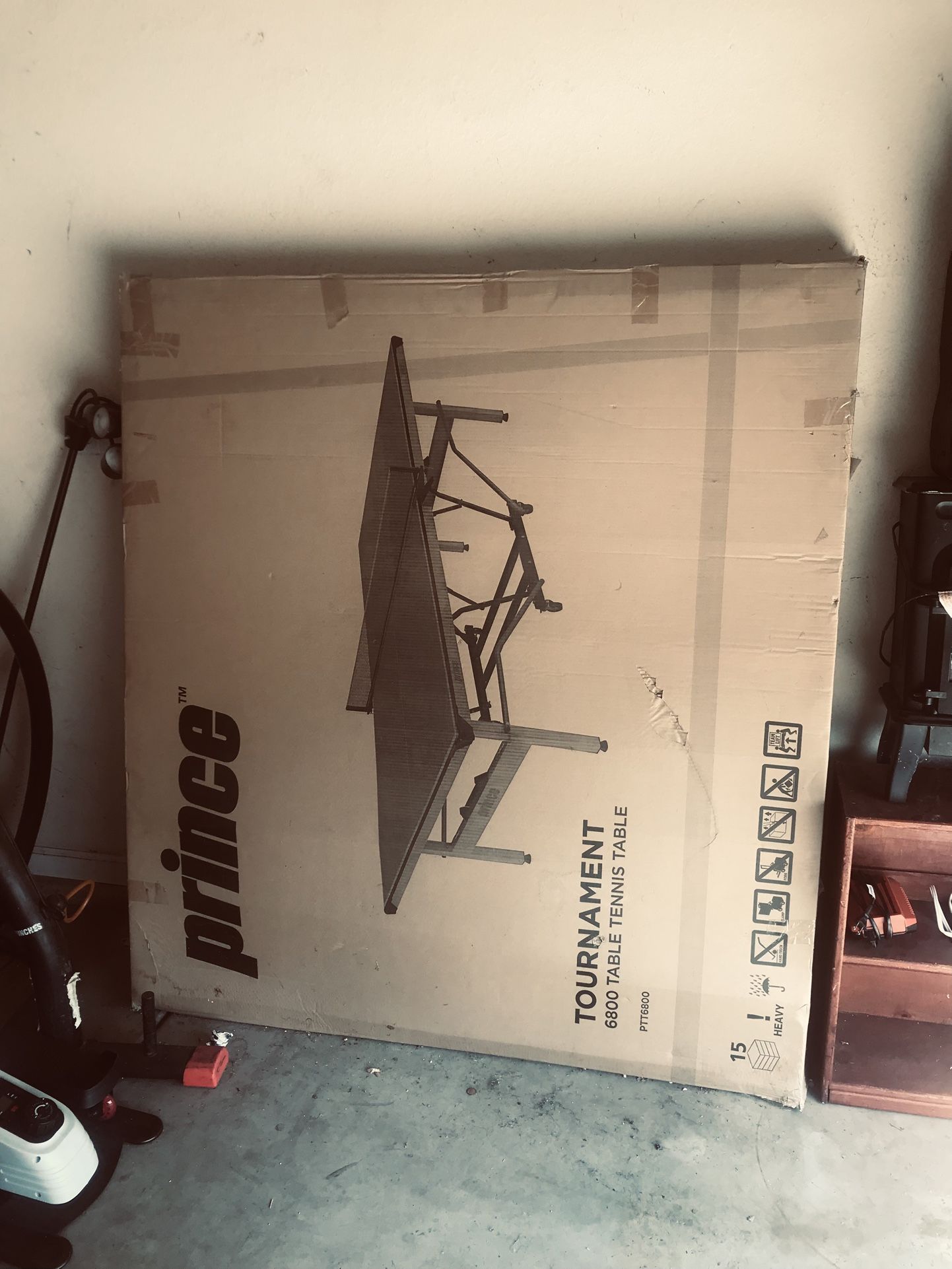 Ping Pong/tennis Table