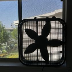 Box Fans- Lasko
