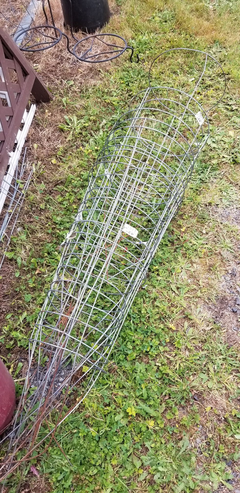 42 inch Tomato cages