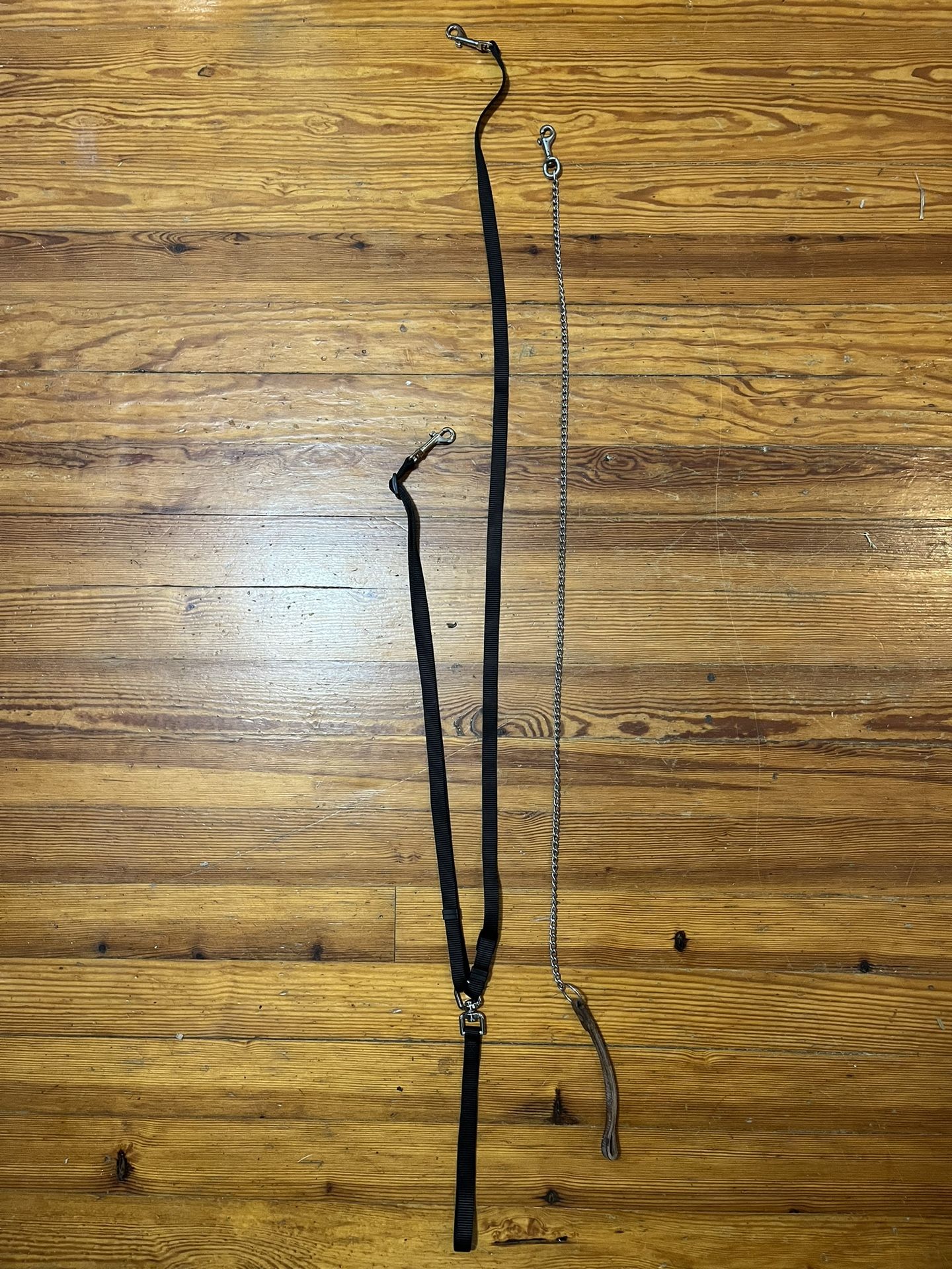 Dog Leashes
