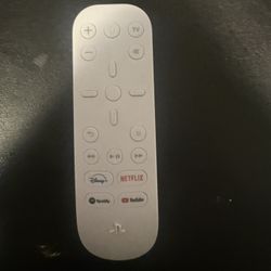 Playstation Accessories 