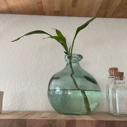 BAMBOO START IN GREEN GLASS