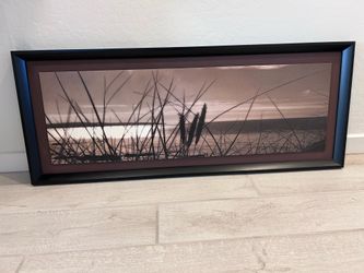 Tranquil Marsh Framed Art from Target (Nice)