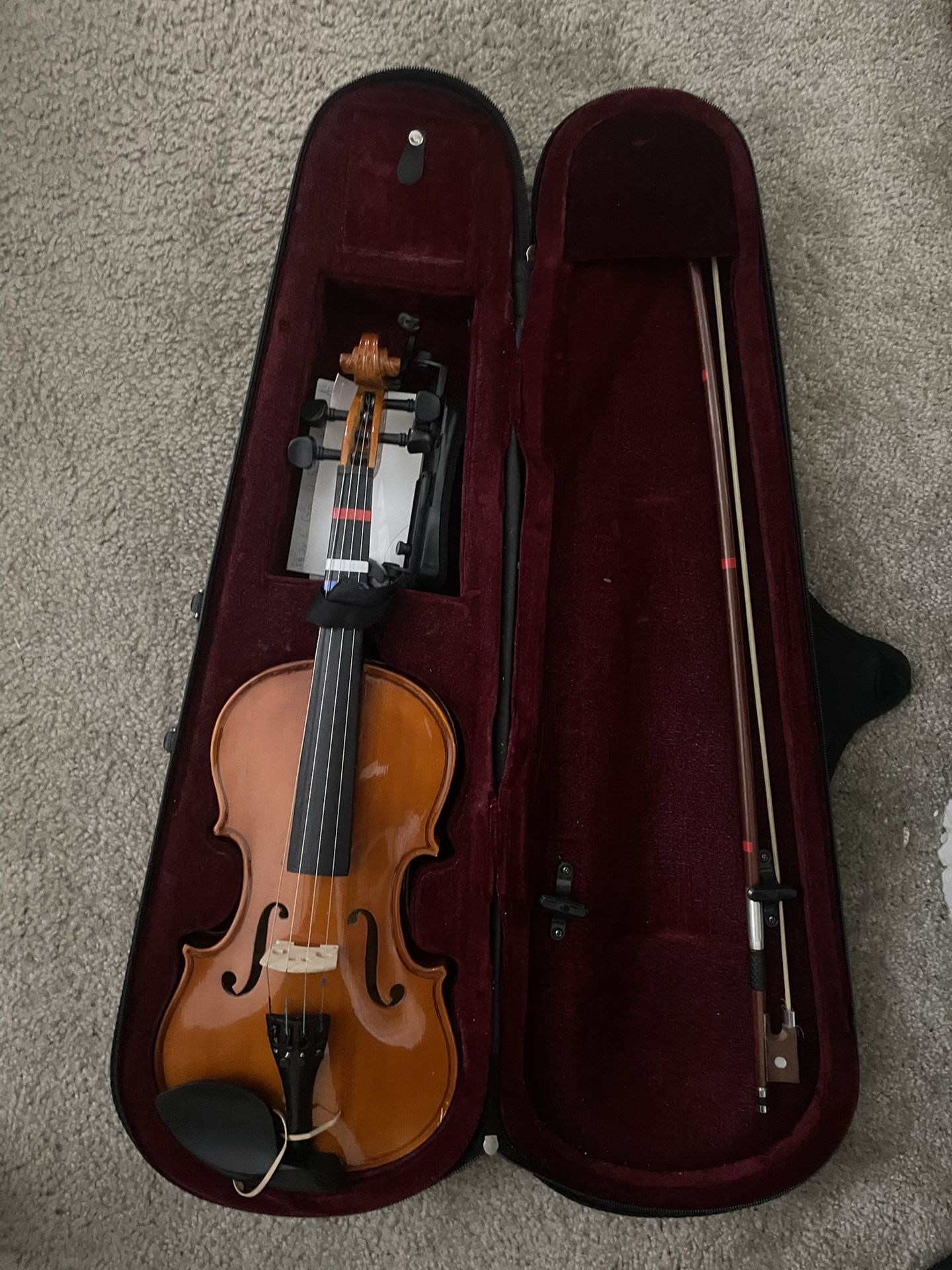 Violin