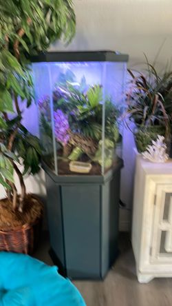 Terrarium