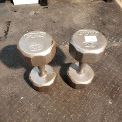 25 lb. Dumbbells