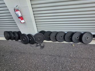 Weight rogue Bumper Plates