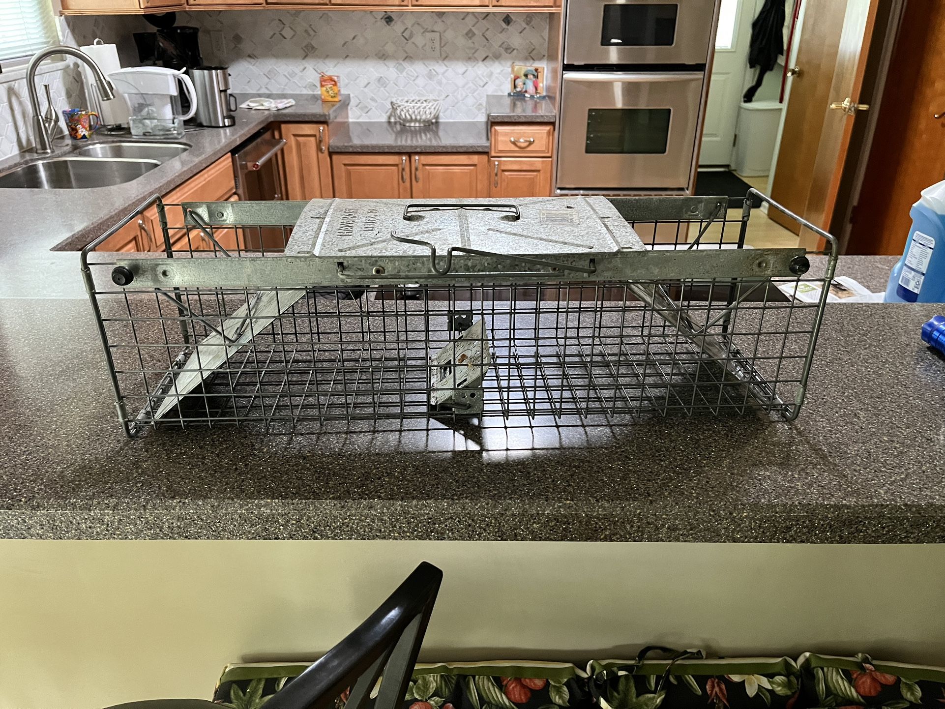 Squirrel Rabbit Trap