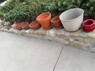 Clay and plastic pots