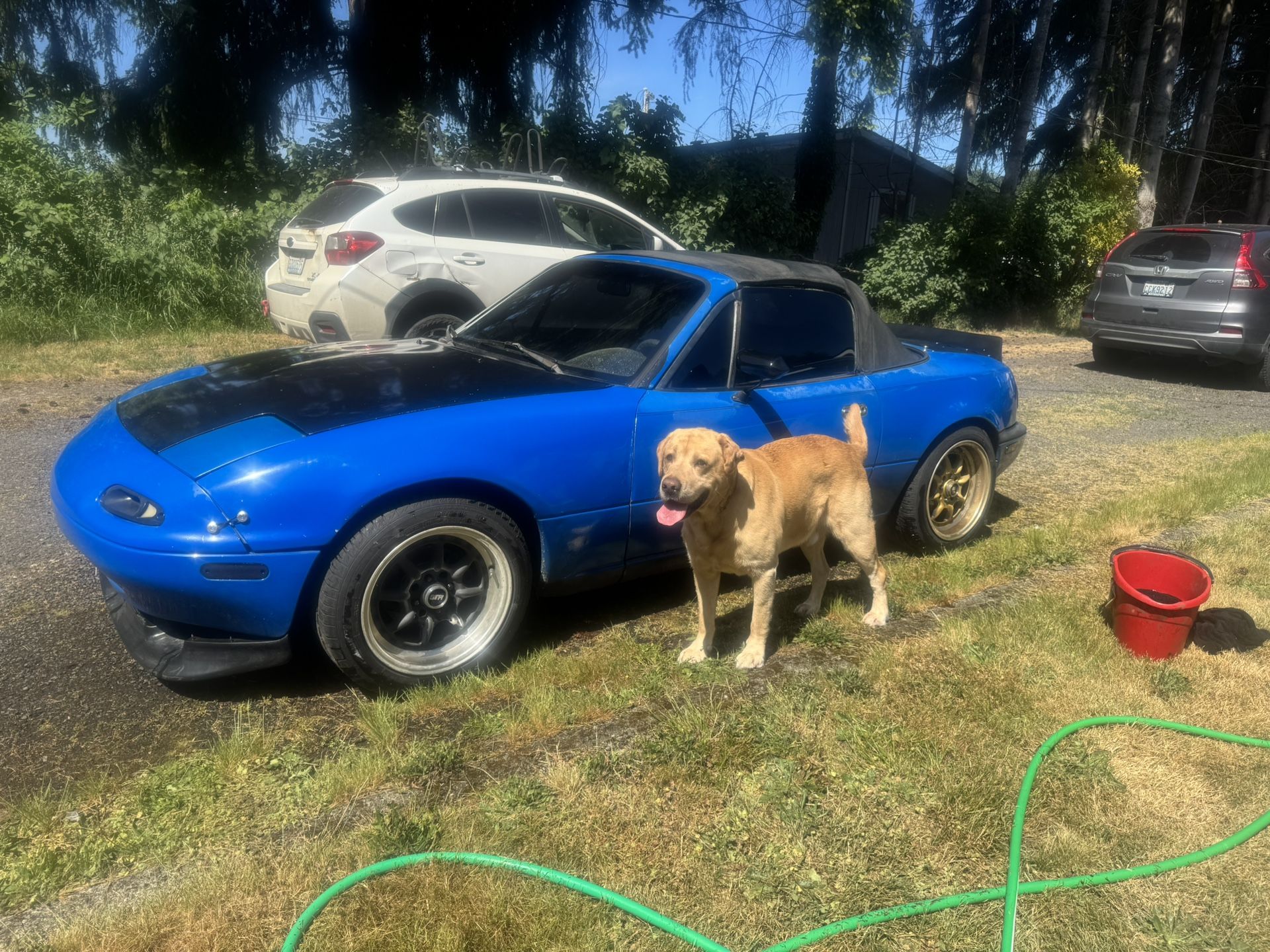 1991 Mazda Mx-5