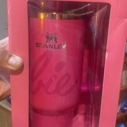 Barbie Stanley Cup