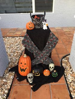 Organic balloons for Halloween or any occasion $160