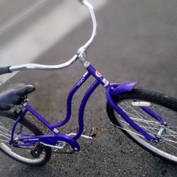Schwinn Legacy 