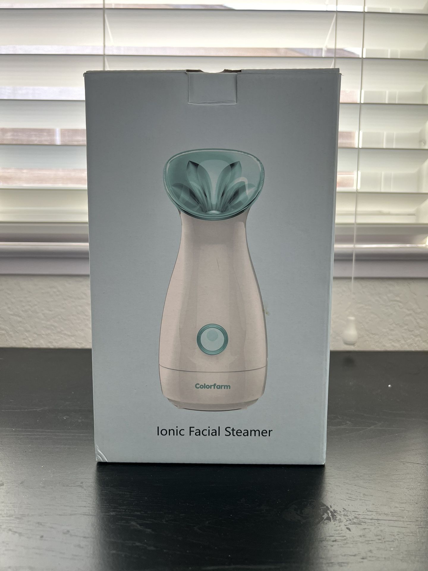 Facial Steamer