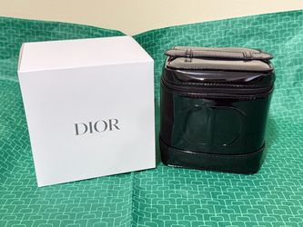 Dior limited 2026 black pouch bag