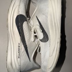 Men’s Size 13 Pegasus Turbo In Good Condition  $50