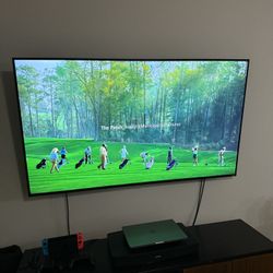 65” TV and Large Mount