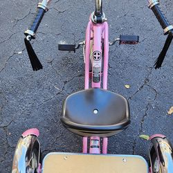 Schwin, trike for kids