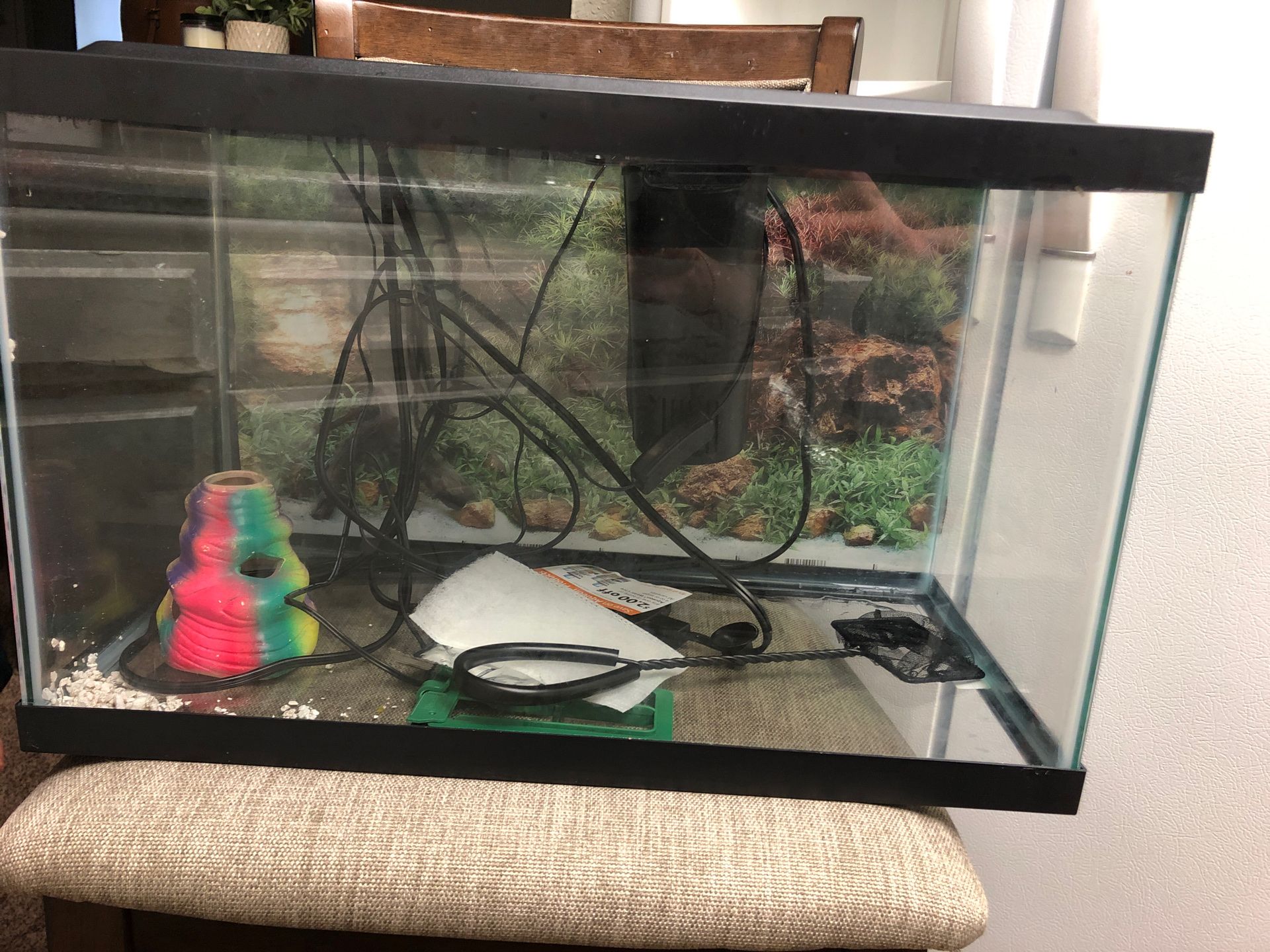 10 gallon fish tank