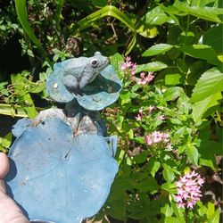 Frog On Lilly Pad Garden Decor