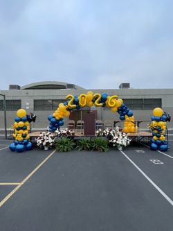 Balloon arch and balloon stands
