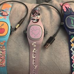 Disneyland Magic Bands 