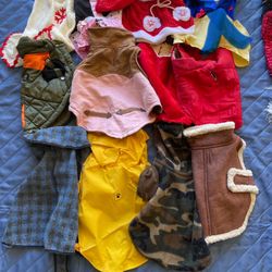 Dog Clothes Size Small