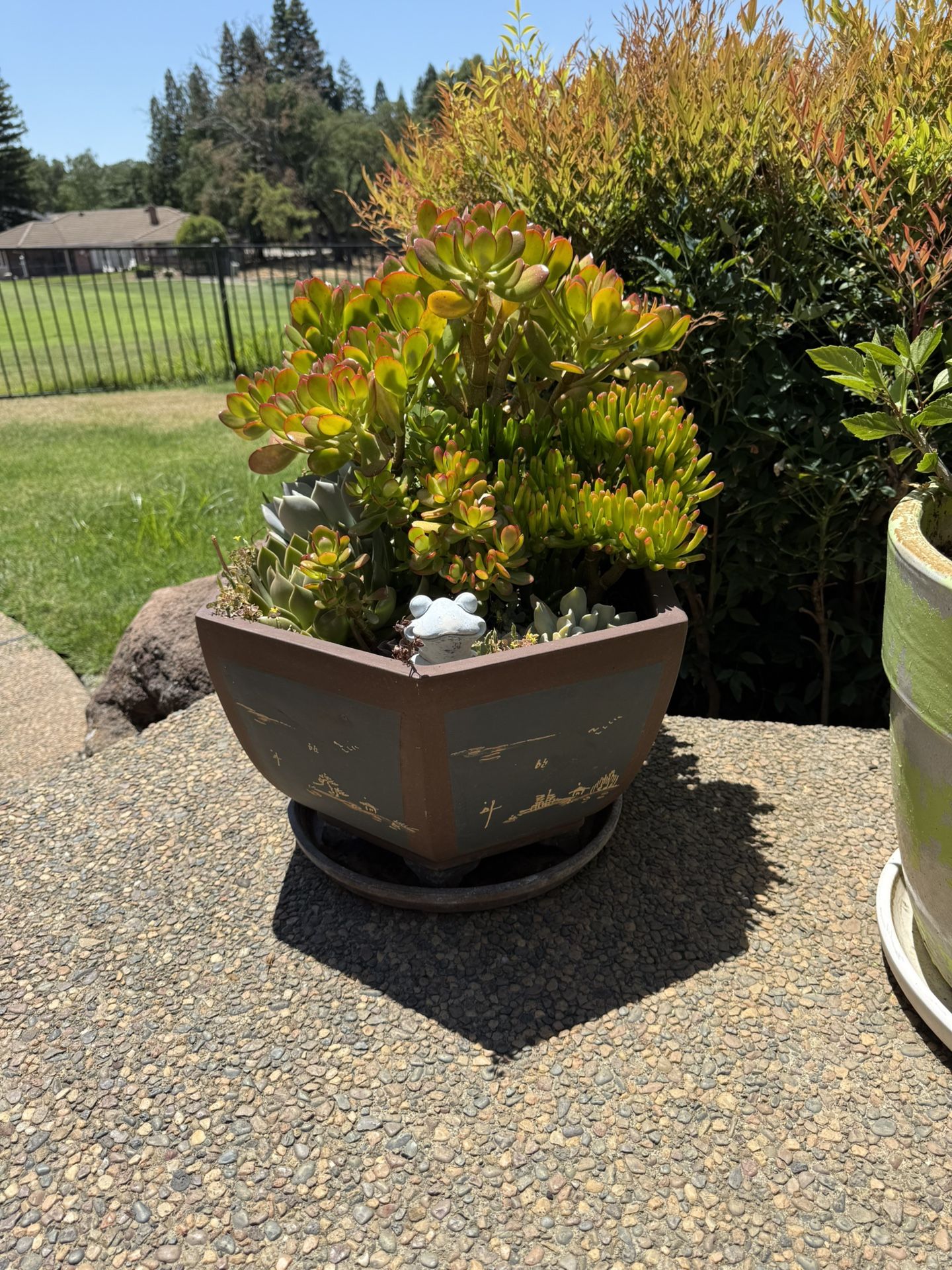 Large Ceramic Pot Includes Plant!