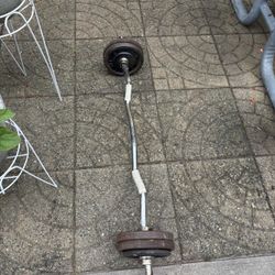 Curl Bar With 50 Lbs