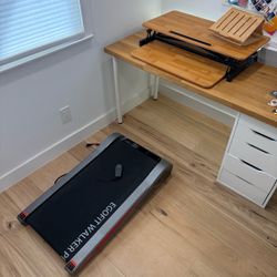 Complete Standing Desk + Walking Pad Setup – Egofit Walker Pro Treadmill