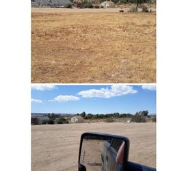 Yard Scraper + Grader Weeds Removed Hauled Away