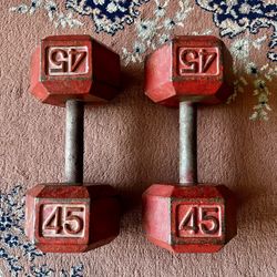 45 lb Dumbbells 
