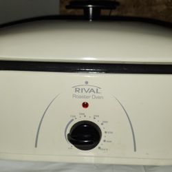 Roaster (Serious Inquiries Plz)