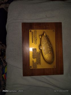 Goodyear blip memorabilia for $15