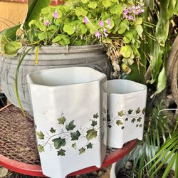2 ceramic plant pots