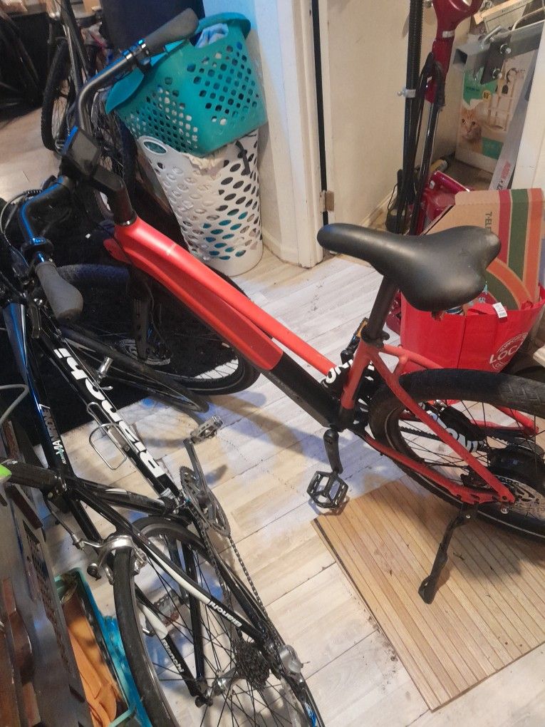 Alpha Eletric Bike ($1800)