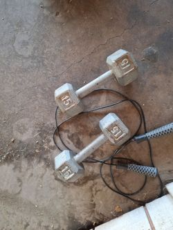15 pound weights (pair)