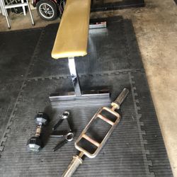 Weights Weight Bench 