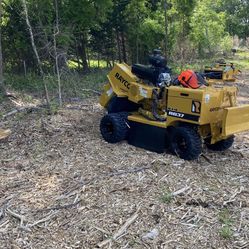 Stump Grinding 